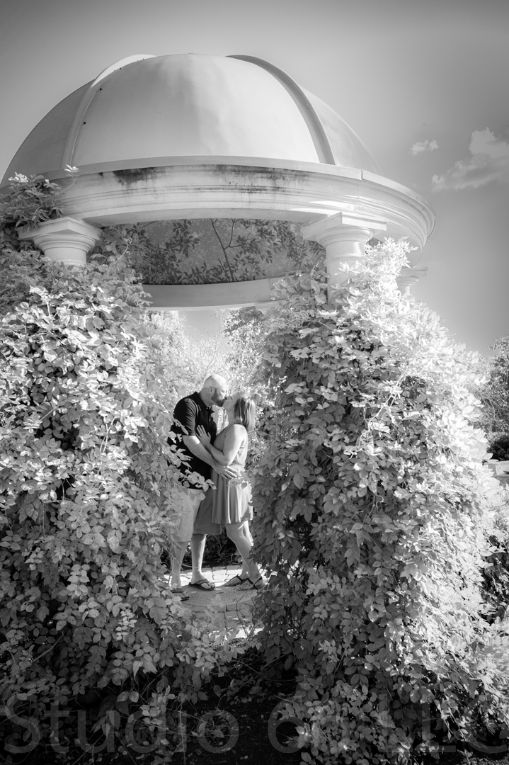 Cincinnati Wedding Photographers Studio 66 Photography