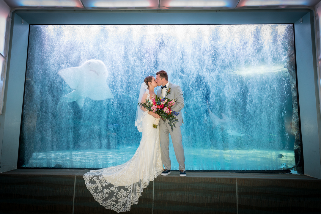 Newport Aquarium Weddings