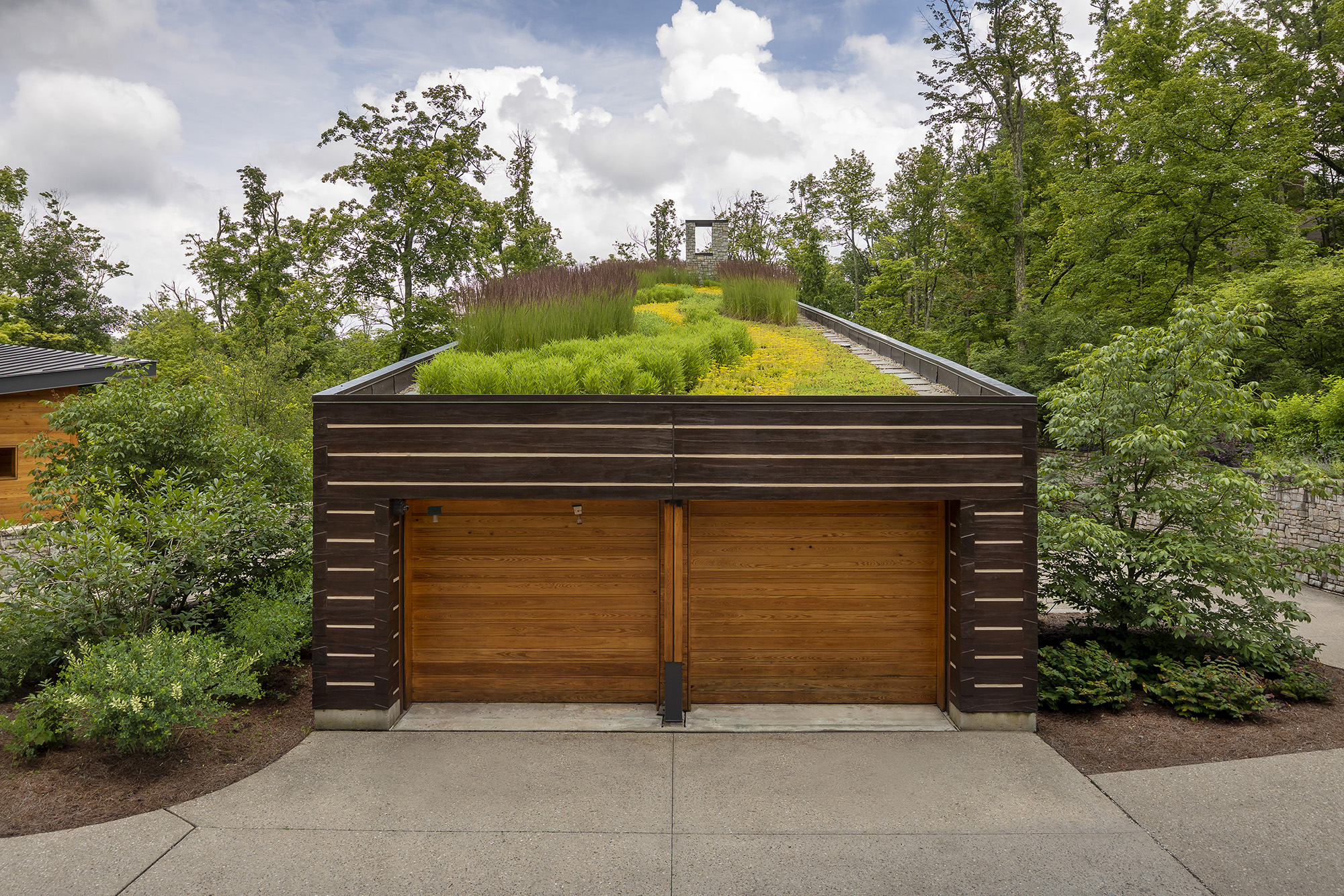 Rooftop Garden