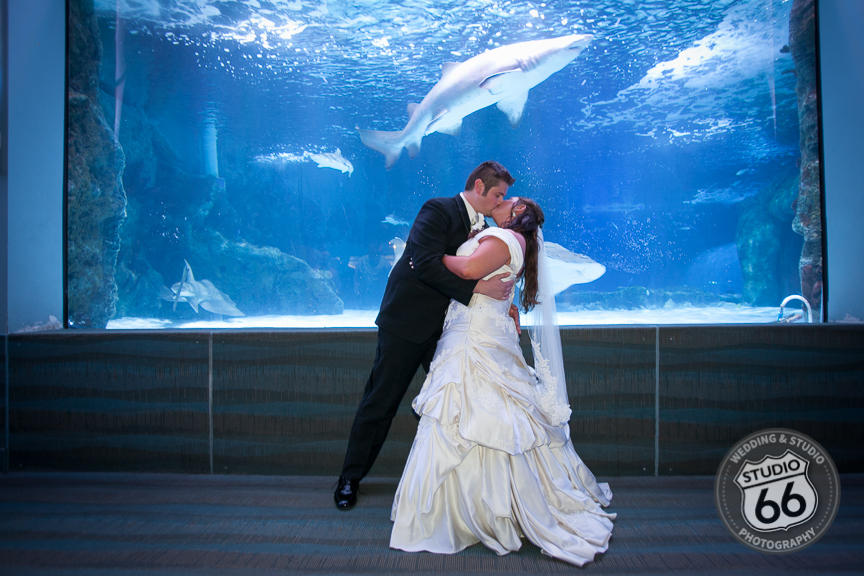 Cincinnati Wedding Photographers Studio 66 Photography